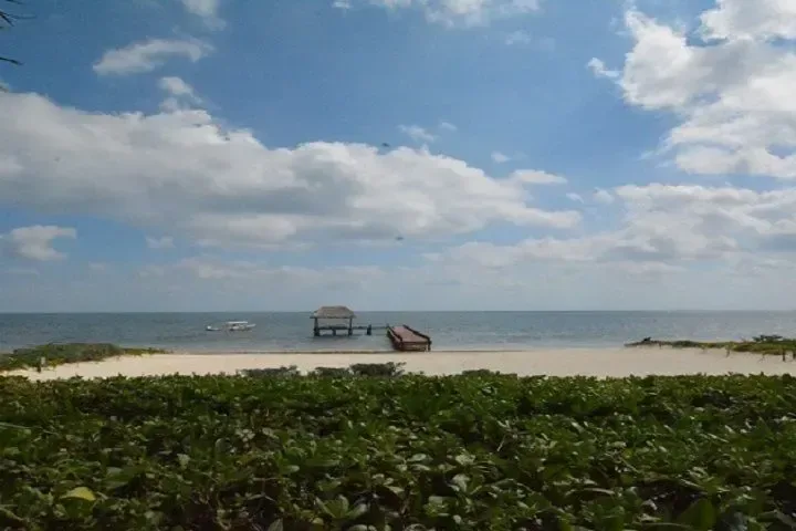 TERRENO EN VENTA EN PUERTO MORELOS - 1