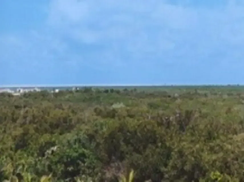 Holel hotelero en venta en la Riviera Maya