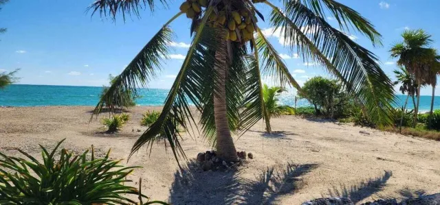 Terreno frente al mar en Isla Blanca en venta
