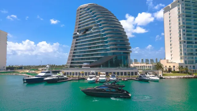 Shark Tower