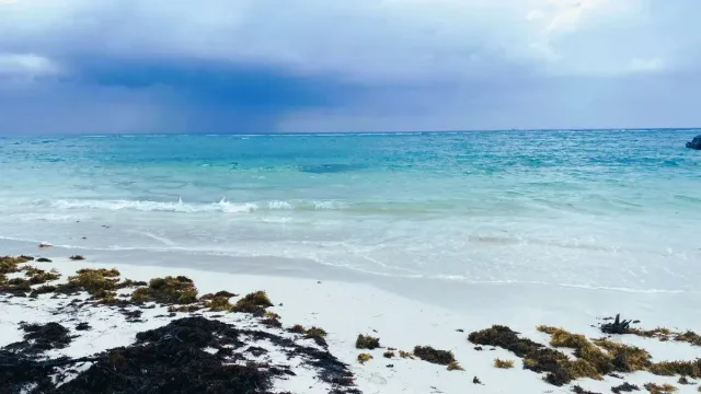 LOTE CON PLAYA EN LA RIVIERA MAYA